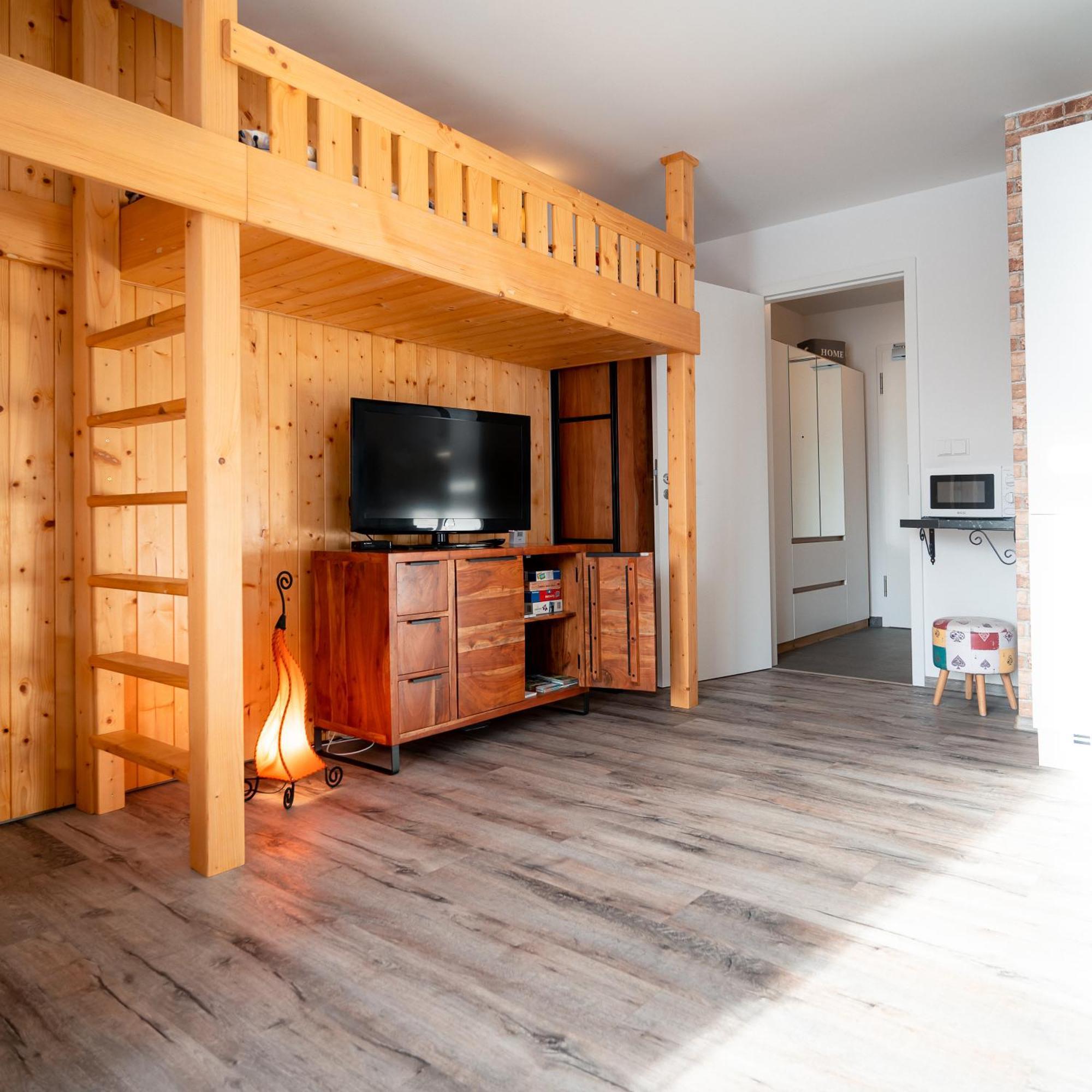 Apartman U Mamuta Долні-Морава Екстер'єр фото